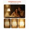 Cordless Table Lamp Rechargeable 5200mAh Desk Lamp 3-Level Brightness Fabric Shade